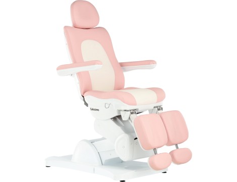 Ηλεκτρική καρέκλα ομορφιάς για καλλωπιστικό σαλόνι πεντικιούρ ρύθμιση 5 εκτελεστών Mason - 6