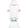 Ηλεκτρική καρέκλα ομορφιάς για καλλωπιστικό σαλόνι πεντικιούρ ρύθμιση 5 εκτελεστών Mason - 10