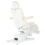 Ηλεκτρική καρέκλα ομορφιάς για καλλωπιστικό σαλόνι πεντικιούρ ρύθμιση 5 εκτελεστών Caleb - 3