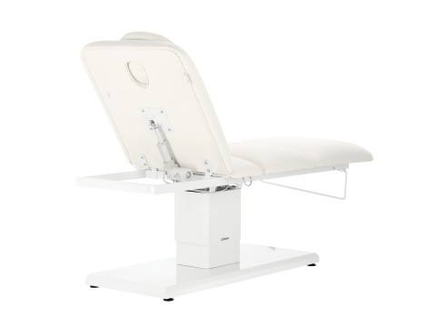 Ηλεκτρική καρέκλα ομορφιάς για καλλωπιστικό σαλόνι πεντικιούρ ρύθμιση 4 εκτελεστές Max - 7