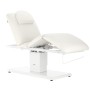 Ηλεκτρική καρέκλα ομορφιάς για καλλωπιστικό σαλόνι πεντικιούρ ρύθμιση 4 εκτελεστές Max - 4